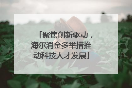 聚焦创新驱动，海尔消金多举措推动科技人才发展